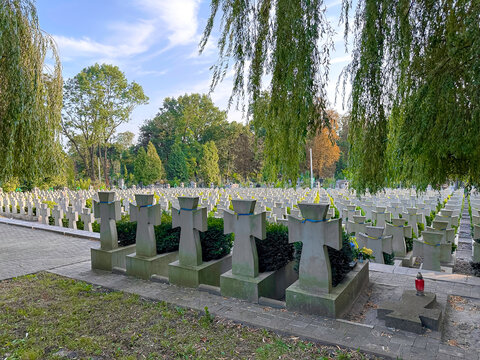 Lviv, Ukraine - 28 August 2023: Memorial of Ukrainian Sich Riflemen at Yaniv cemetery.