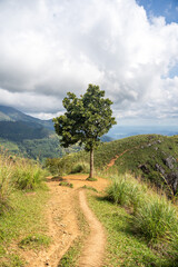 Little Adam's Peak landscape during a sunny day in Ella, Sri Lanka