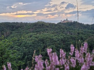 Wartburg-Blick von Paulinenhöhe bei Eisenach (Thüringer Wald)