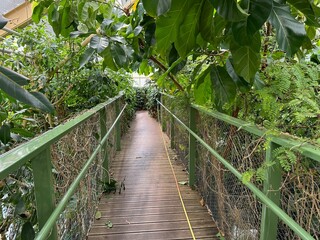 Bridge with railings among plants in botanic garden
