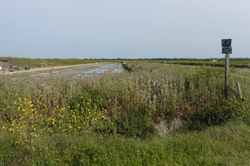 Les marais salants ou salins de l'île de Ré, en Charentes Matitimes