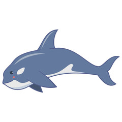 Obraz premium Killer whale outline vector illustration.Hand drawn killer whale.Underwater fish.Marine life.Isolated on white background.