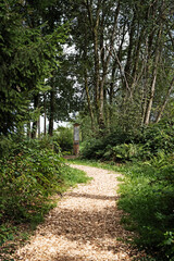 Waldweg 