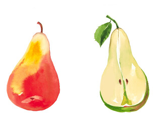 pear isolated watercolor 