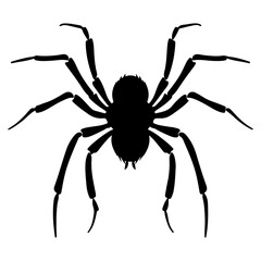 Black spider icon. Vector illustration isolated on white background