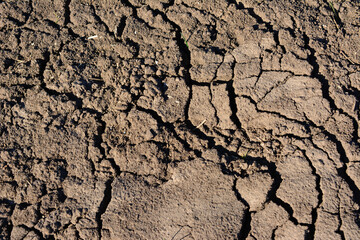 brown soil sample with cracks in sunny day isolated wallpaper 