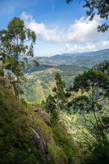 Fototapeta na wymiar Little Adam's Peak landscape during a sunny day in Ella, Sri Lanka