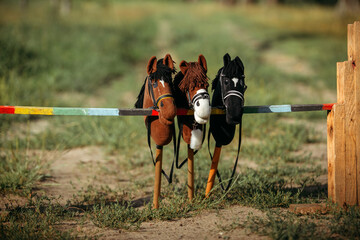 Three toys for hobbyhorsing. Toys stand on the obstacle for jumping.
