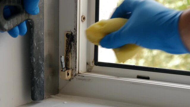 Dirty window fasteners are washed. Repair and maintenance of metal-plastic windows and doors.