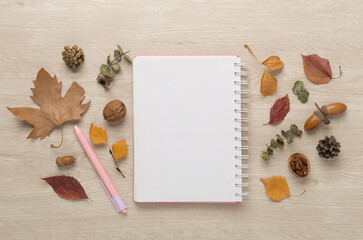 Naklejka na ściany i meble Autumn leaves with notebook on wooden background, top view