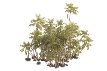 Landscape isolated on transparent background 3d rendering illustration