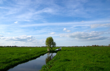 Fototapeta na wymiar Landscape green meadow and canal with clear water