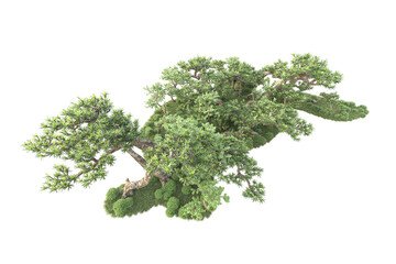Obraz premium Landscape isolated on transparent background 3d rendering illustration