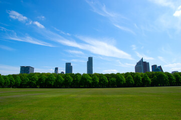 City park on blue sky background