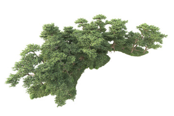 Obraz premium Realistic forest isolated on transparent background. 3d rendering - illustration