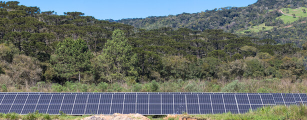 Solar panels with forest in the background.