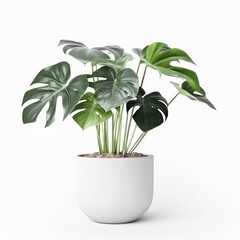 A modern green monstera plant in a white pot is a beautiful addition to any room's decor. Isolated on a white background. AI Generative.