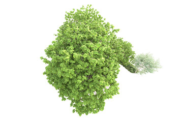Fototapeta premium Landscape isolated on transparent background. 3d rendering - illustration