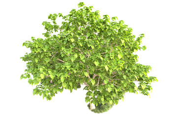 Obraz premium Landscape isolated on transparent background. 3d rendering - illustration