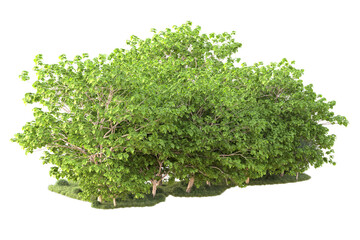 Landscape isolated on transparent background. 3d rendering - illustration