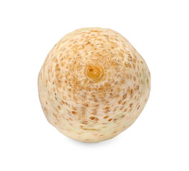One raw celery root isolated on white