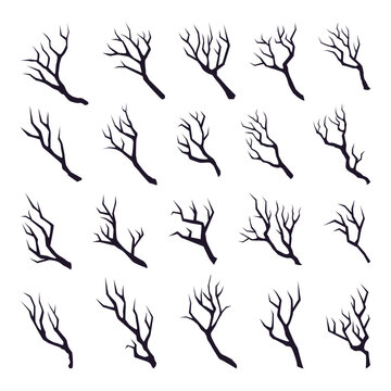 Set of black dry trees branches  isolated on white background.