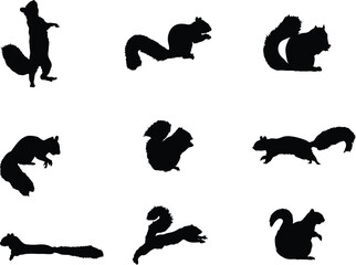 A vector collection of squirrels silhouettes 