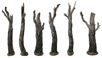 Set of Dead tree stump or Old tree trunk with isolated on transparent background. PNG file, 3D rendering illustration, Clip art and cut out © EcoSpace