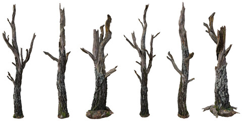 Set of Dead tree stump or Old tree trunk with isolated on transparent background. PNG file, 3D rendering illustration, Clip art and cut out - obrazy, fototapety, plakaty