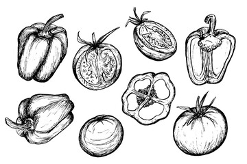 Vegetables doodle set, hand drawn illustration on white background. Tomatoes and peppers sketch.