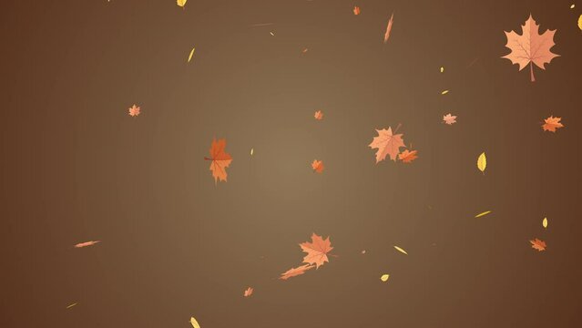 2D loop animation of falling autumn maple leaves on a brown background. Seamless footage element for motion background graphic 