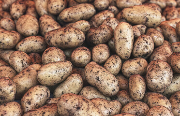 Raw potatoes on display at the local farmers market. Farmers markets are a traditional way of selling agricultural products