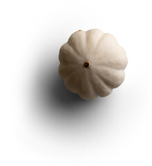 White Pumpkin Upside Down
