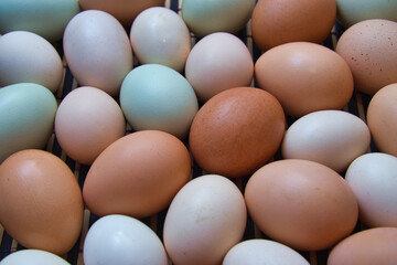 Eggs - 640206630