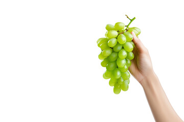 Hand holding green grapes bunch isolated on white background with copy space