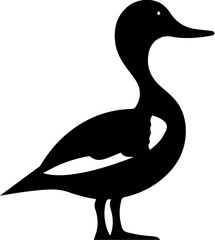 Nothern Pintail Icon