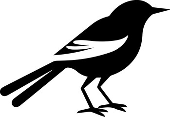 Mockingbird Bird Icon