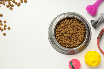 Tasty and delicious food for pet, pet accessories