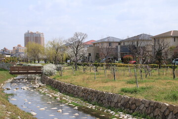 Fototapeta na wymiar 春の親水中央公園(兵庫県芦屋市)