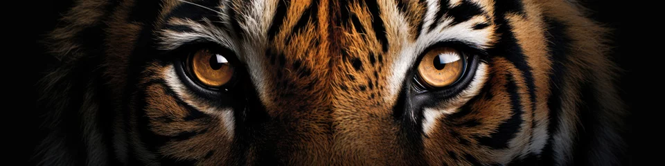 Wandaufkleber Eyes of a tiger close up © Veniamin Kraskov