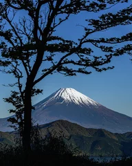 Cercles muraux Mont Fuji A beautiful view of mount fuji with tree composition, japan