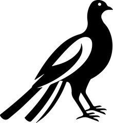 Pheasant Bird Icon