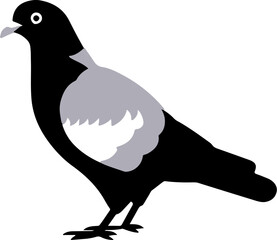 Pigeon Bird Icon