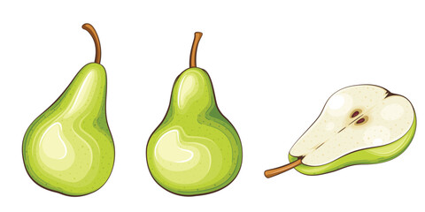 Pear isolated vector illustration. Fruits colorful illustrations isolated on white background.  Fruit collection. 