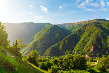 Gorge between mountains covered with dense green forest - obrazy, fototapety, plakaty