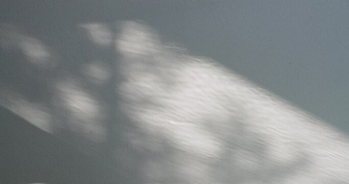 Water shadow on wall. Abstract background with wave and sunshine reflection