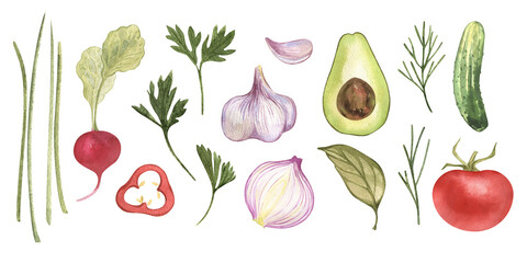 Eco food set menu background. Watercolor hand drawn vegetables, garlic, cucumber, salad, tomato, pepper, organic, avocado, leaves, onion. Isolated elements. For restaurant, kitchen, textile, fabric.