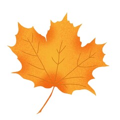 Autumn leaves. Digital illustration on the theme of autumn. Hand-drawn, high resolution, white background, isolates.