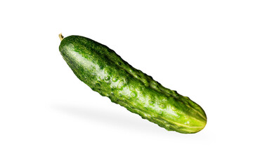 Cucumber isolated on white or invisible png background