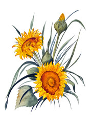 Naklejka premium Bouquet with sunflowers and dried flowers. Watercolor illustration on the theme of summer and autumn. Hand-drawn, high resolution, white background, isolates.